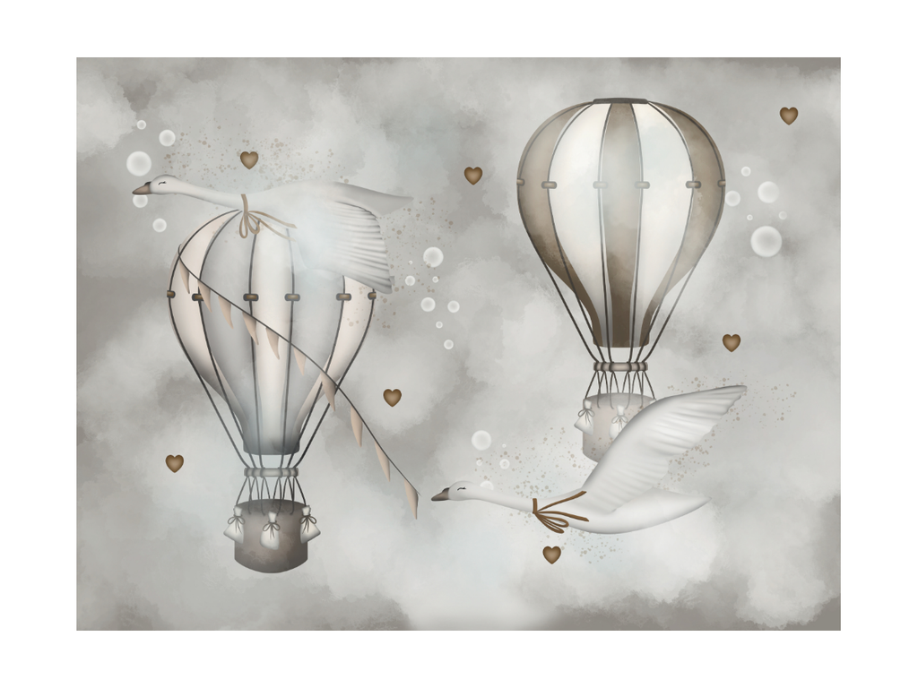 Hot air balloon ride