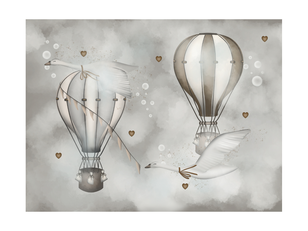 Hot air balloon ride