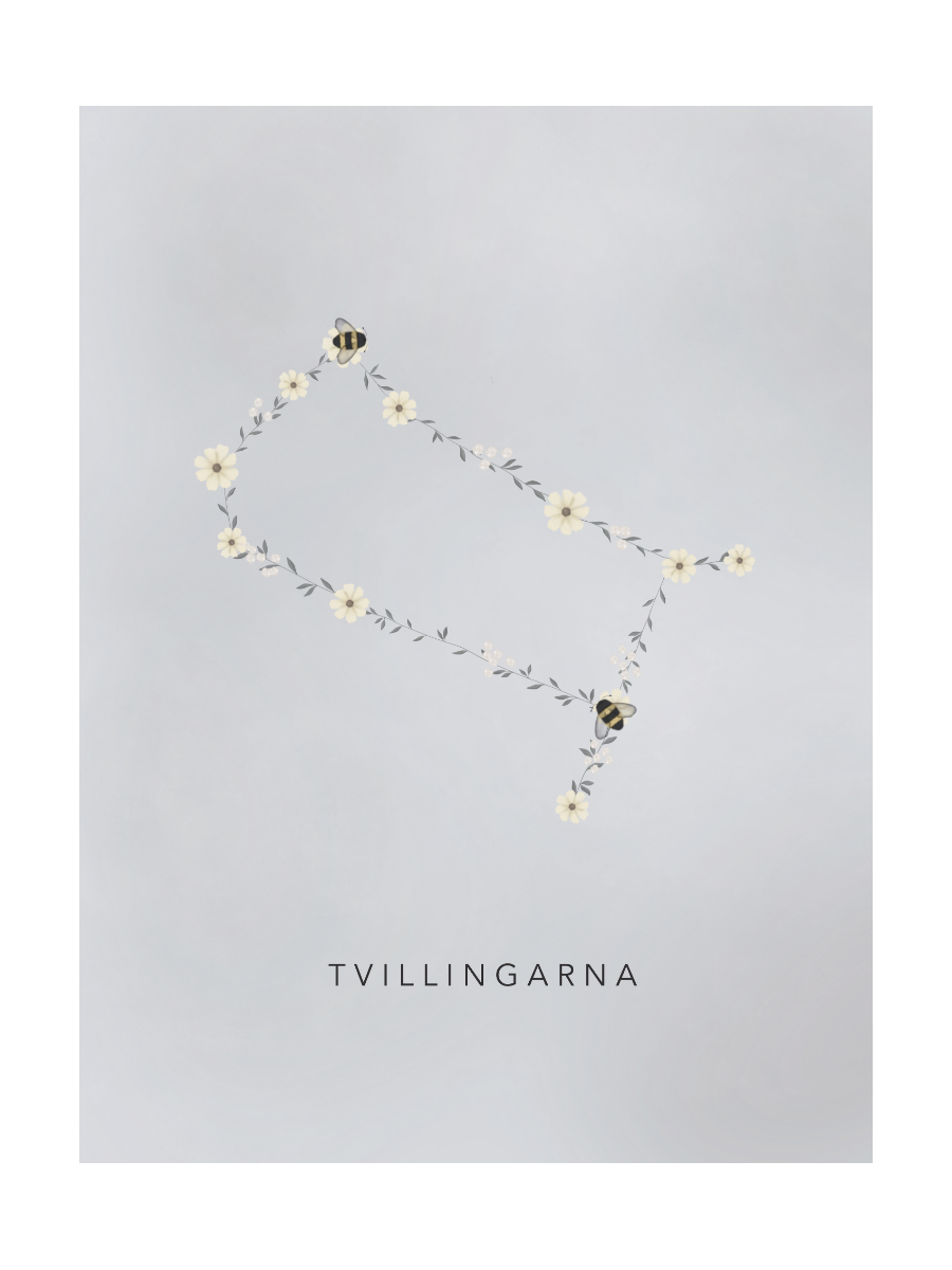 Stjärntecken Humlan Och Tvillingarna