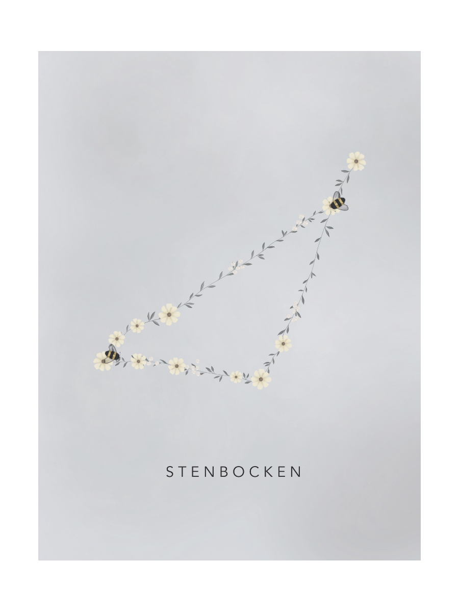 Stjärntecken Humlan Och Stenbocken