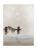 Stjärntecken Björnen Och Kräftan
