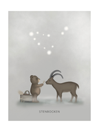 Stjärntecken Björnen Och Stenbocken