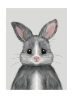 Kaninporträtt Poster