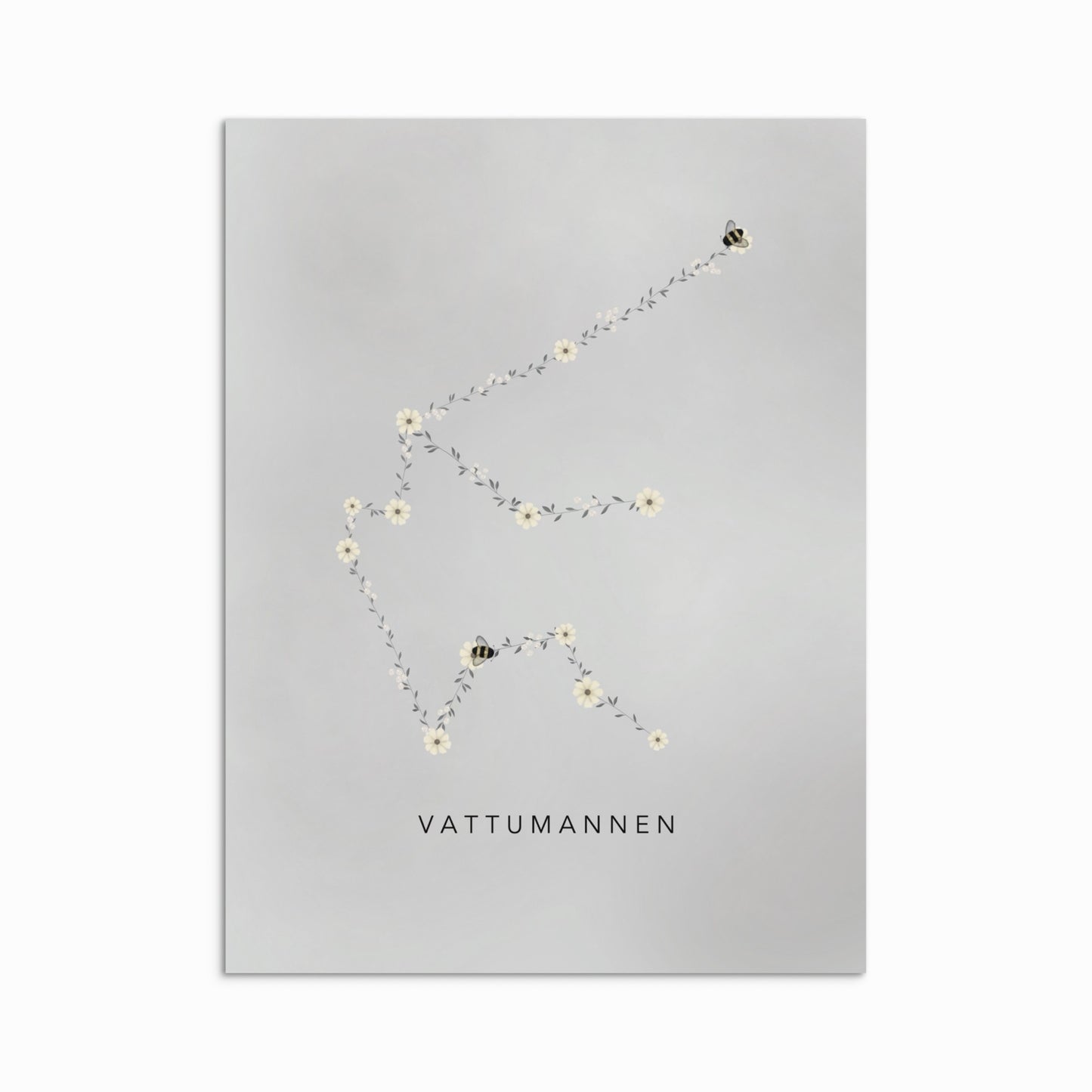 vattumannen stjärntecken 